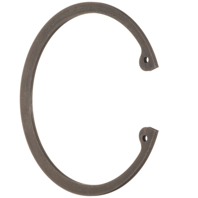 SCHAEFFLER - WR0120 - Front Wheel Bearing Retainer pa1