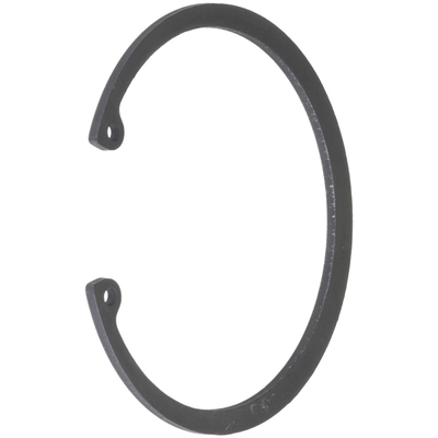 SCHAEFFLER - WR0125 - Front Wheel Bearing Retainer pa1