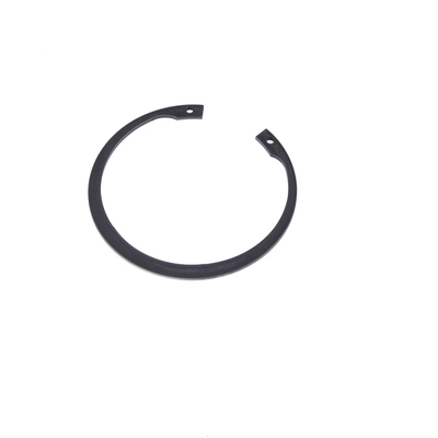 SCHAEFFLER - WR0128 - Front Wheel Bearing Retainer pa1