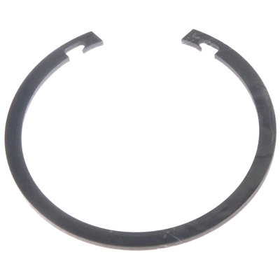 SCHAEFFLER - WR0131 - Front Wheel Bearing Retainer pa1