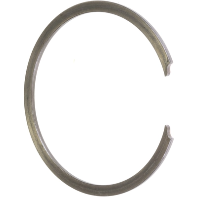 SCHAEFFLER - WR0133 - Front Wheel Bearing Retainer pa1