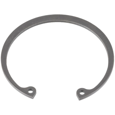 SCHAEFFLER - WR0223 - Front Wheel Bearing Retainer pa1