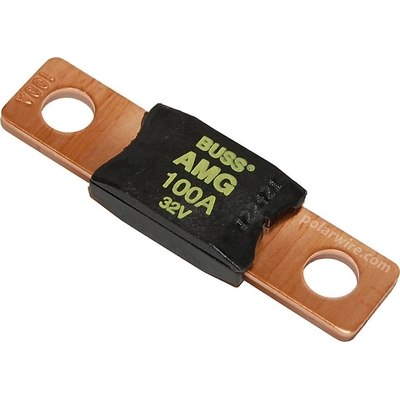 Front Wiper/Washer Fuse by BUSSMANN - AMG100 pa10