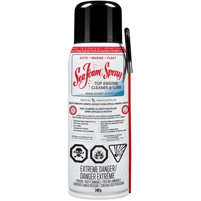 SEA FOAM - SS14CA - Fuel Additive, 12Oz pa2