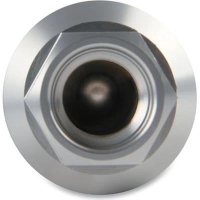 Fuel Filter by HOLLEY - 162-562 pa4