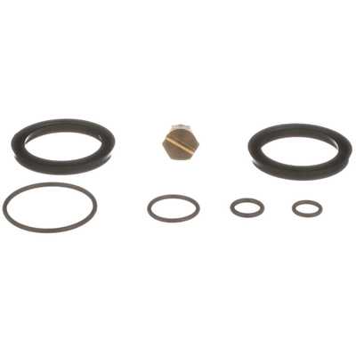 BLUE STREAK (HYGRADE MOTOR) - PHS1 - Fuel Filter Primer Housing Seal Kit pa2