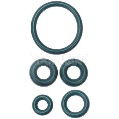 Fuel Filter Seal Kit by DORMAN (OE SOLUTIONS) - 904-498 pa1