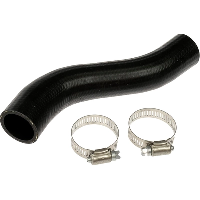 Fuel Hose by DORMAN (OE SOLUTIONS) - 573-042 pa1