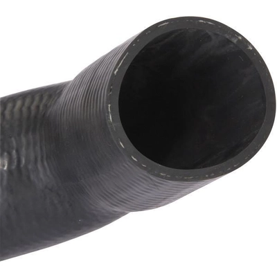 SPECTRA PREMIUM INDUSTRIES - FNH068 - Fuel Hose pa1