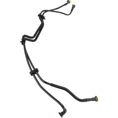 Fuel Line Assembly by BLUE STREAK (HYGRADE MOTOR) - DLH002 pa2