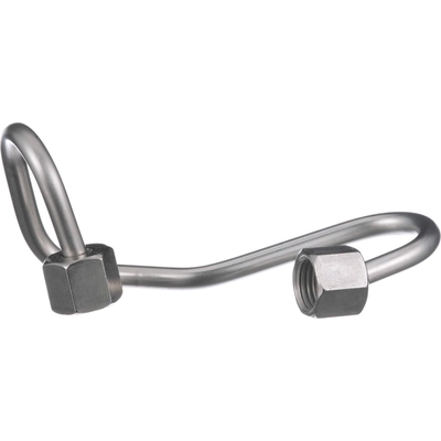Fuel Line Assembly by BLUE STREAK (HYGRADE MOTOR) - GDL719 pa2