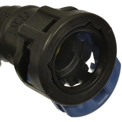 BLUE STREAK (HYGRADE MOTOR) - IPL3 - Diesel Injection Pump Supply Line pa2