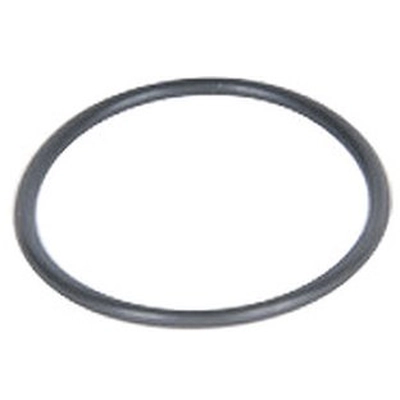 ACDELCO - G43 - Fuel Pump O-Ring pa1