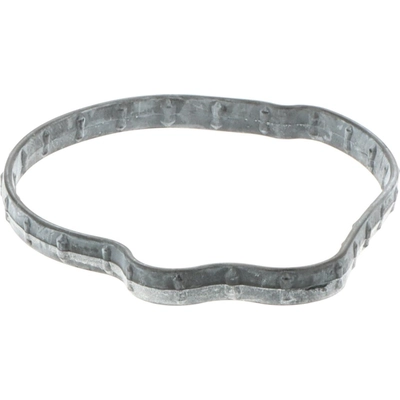 Fuel Pump Gasket by BLUE STREAK (HYGRADE MOTOR) - GDG405 pa1