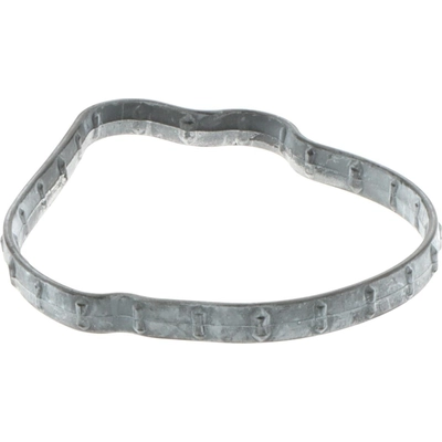 Fuel Pump Gasket by BLUE STREAK (HYGRADE MOTOR) - GDG405 pa2
