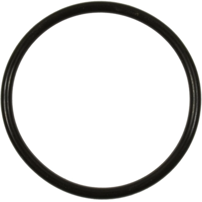 BLUE STREAK (HYGRADE MOTOR) - GDR501 - Fuel Pump O-Ring pa1