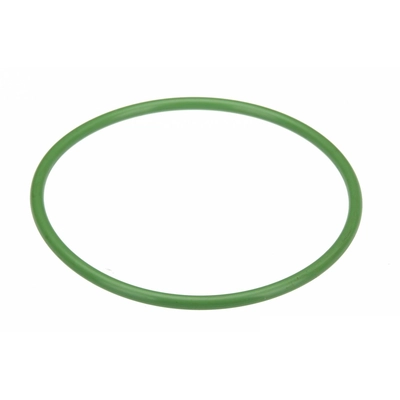 URO - 0259971845 - Fuel Pump O-Ring pa2