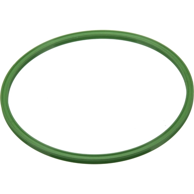 URO - 2114710179 - Fuel Tank Pump Seal pa3