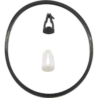 Fuel Pump Hanger Assembly by AUTOBEST - F1009A pa2