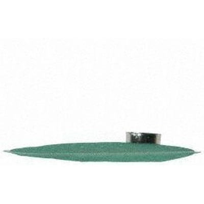 Fuel Pump Strainer by CARTER - STS9 pa1