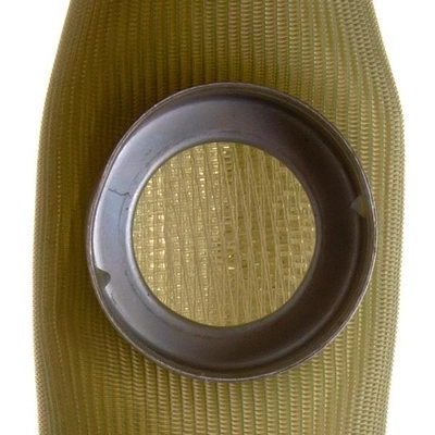 Fuel Pump Strainer by DELPHI - FS0021 pa10