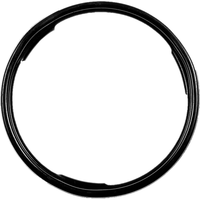 AC DELCO - G10 - Gasket pa2