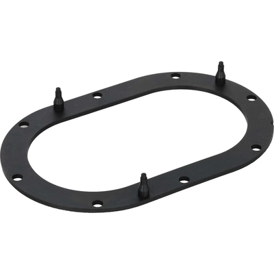 Fuel Pump Tank Seal by DELPHI - FA10032 pa1