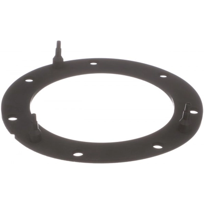 DELPHI - FA10038 - Fuel Pump Tank Seal pa1