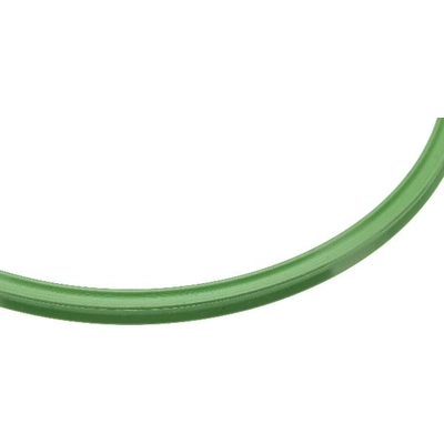 Fuel Pump Tank Seal by URO - 2114710179 pa1