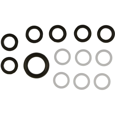 BLUE STREAK (HYGRADE MOTOR) - SK168 - Diesel High Pressure Oil Pump Fitting Kit pa1