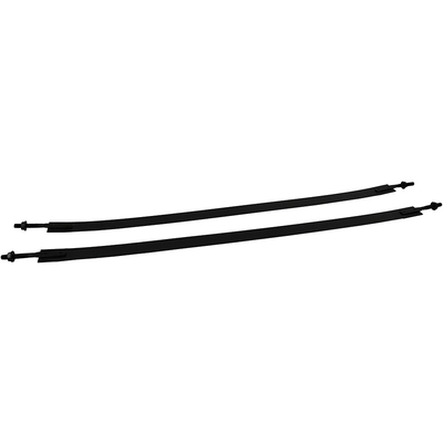 Fuel Tank Strap Or Straps by AGILITY - 4040207 pa1