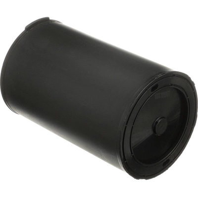 Fuel Vapor Storage Canister by BLUE STREAK (HYGRADE MOTOR) - CP1020 pa4