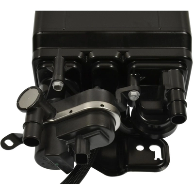 BLUE STREAK (HYGRADE MOTOR) - CP3303 - Vapor Canister pa3