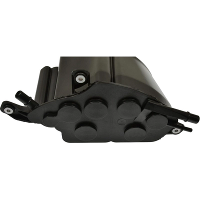 Fuel Vapor Storage Canister by BLUE STREAK (HYGRADE MOTOR) - CP3368 pa3