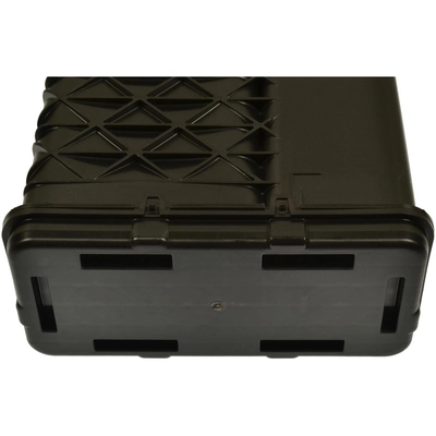 BLUE STREAK (HYGRADE MOTOR) - CP3666 - Fuel Vapor Storage Canister pa1