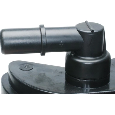 Fuel Vapor Storage Canister by BLUE STREAK (HYGRADE MOTOR) - CP447 pa6