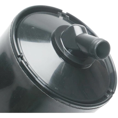 Fuel Vapor Storage Canister by BLUE STREAK (HYGRADE MOTOR) - CP3013 pa1