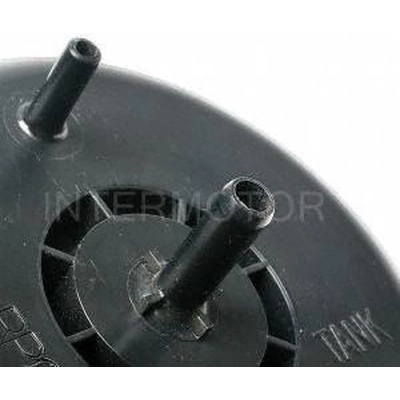 Fuel Vapor Storage Canister by BLUE STREAK (HYGRADE MOTOR) - CP3169 pa2