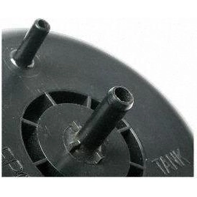 Fuel Vapor Storage Canister by BLUE STREAK (HYGRADE MOTOR) - CP3169 pa7