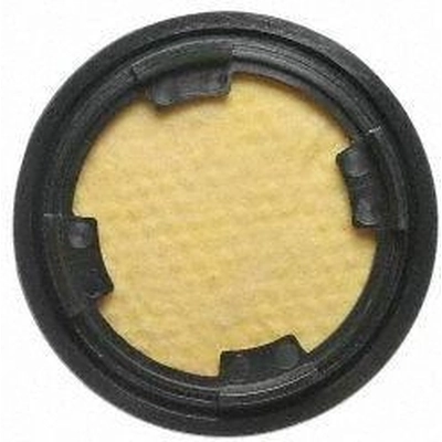 Fuel Vapor Storage Canister by BLUE STREAK (HYGRADE MOTOR) - CP3171 pa5