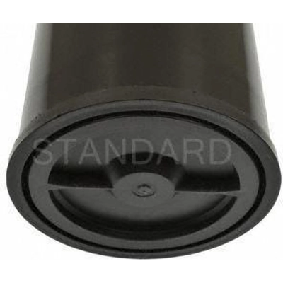 Fuel Vapor Storage Canister by BLUE STREAK (HYGRADE MOTOR) - CP3231 pa1