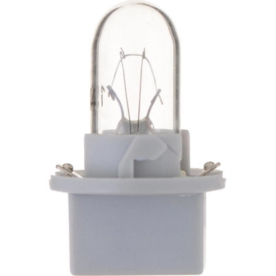 PHILIPS - PC194CP - Lumière de boîte à gants (paquet de 10) pa52
