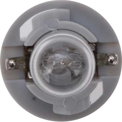 Glove Box Light (Pack of 10) by PHILIPS - PC194CP pa7