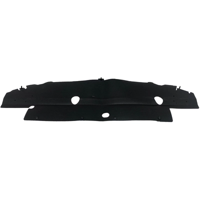 Grille Air Deflector - FO1218168 pa1