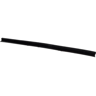 Grille Air Deflector - FO1218187 pa2
