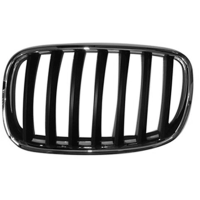 Grille Assembly - BM1200180C pa1