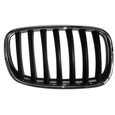 Grille Assembly - BM1200181C pa1