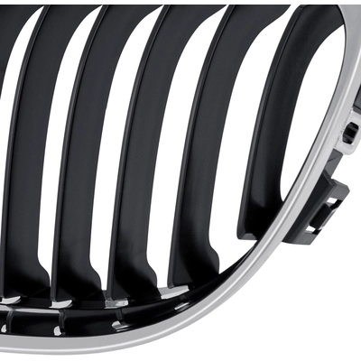 Grille Assembly - BM1200192 pa3