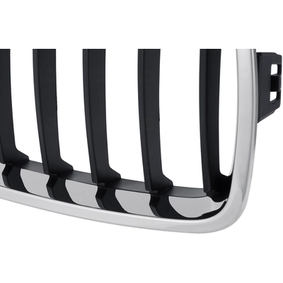 Grille Assembly - BM1200263 pa2