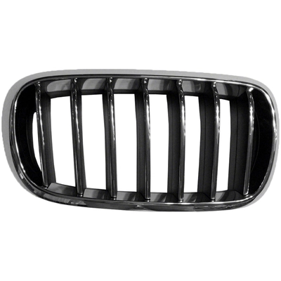 Grille Assembly - BM1200269 pa1